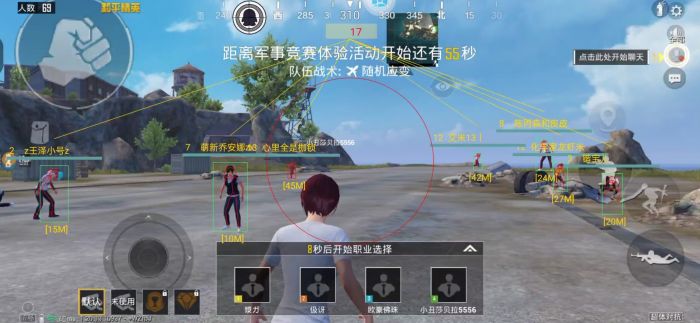 和平精英定制辅助多少钱（和平精英辅助大概多少）